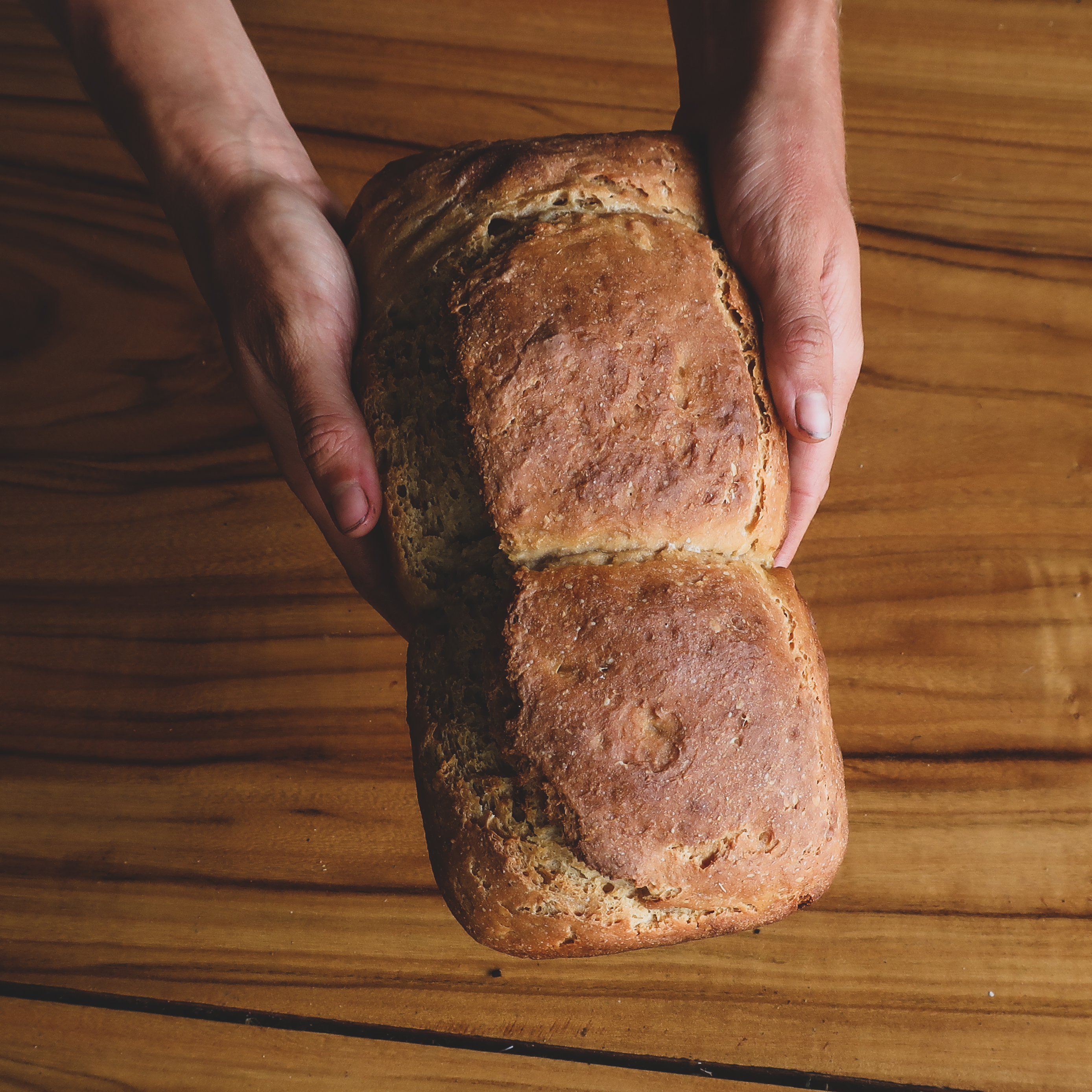 Freshly Baked Sourdough Bread